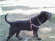 MI NUNA , MI PRIMERA PEI," LA MAS MEJOR" :) MI NUNA , MI PRIMERA PEI," LA MAS MEJOR" :)